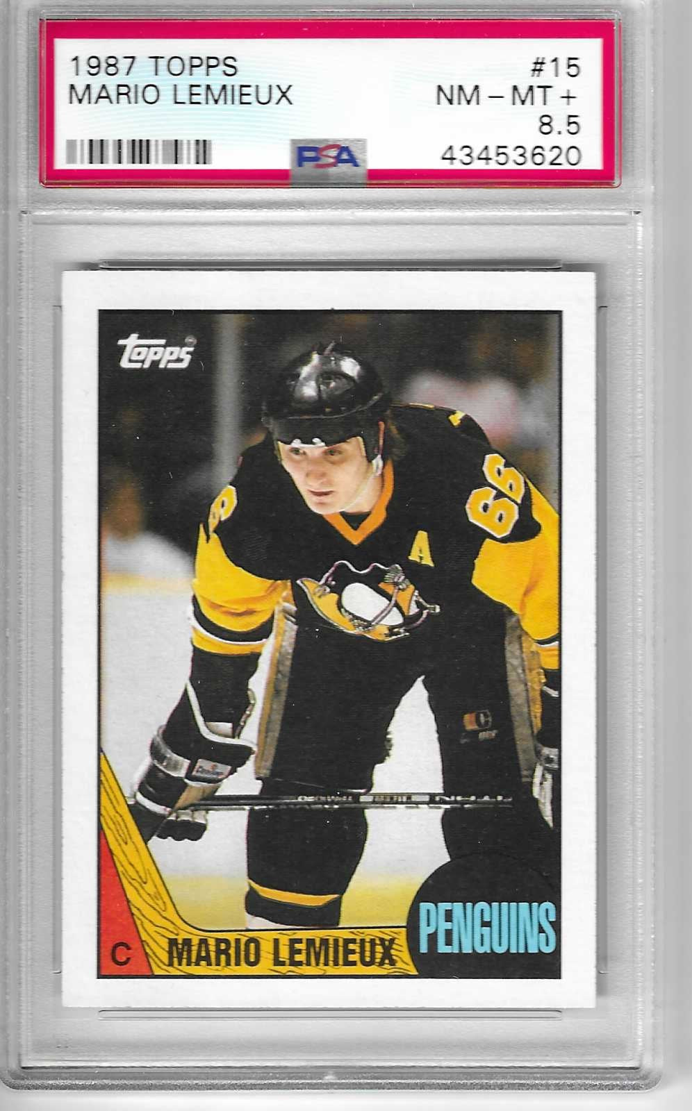 1987-88 TOPPS Hockey 